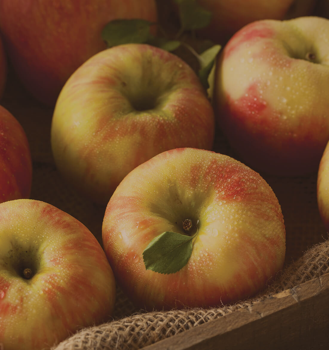 https://www.plymouthorchards.com/wp-content/uploads/2018/07/product-lead-ins-large-organic-apples.jpg